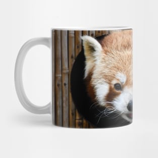 Little Panda / Swiss Artwork Photography Mug